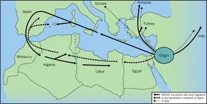 Ailevi Akdeniz Ateşi