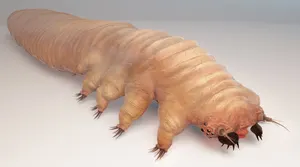 Demodeks
