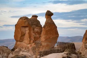 Pareidolia