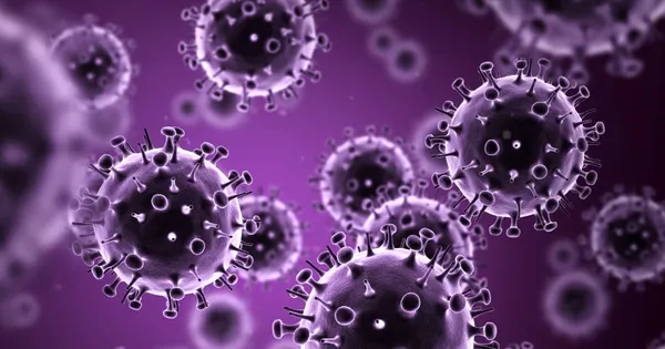 H1N1 Virüsü