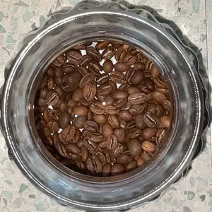Kahve Kültürü