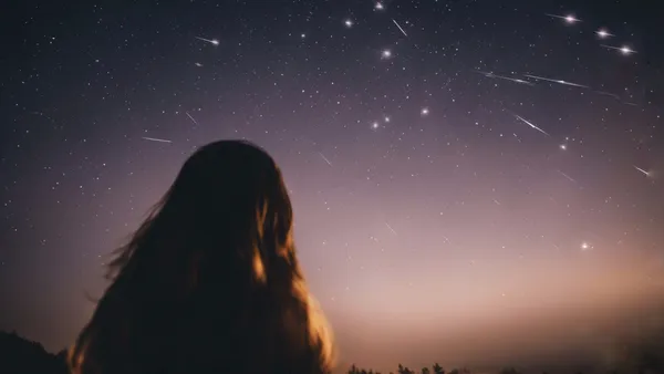 Perseid Meteor Yağmuru