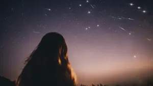 Perseid Meteor Yağmuru