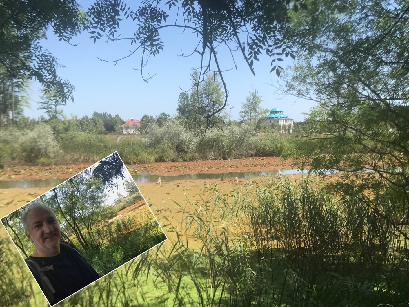 Sakarya - Karasu - Acarlar Longozu - 2 Haziran 2023