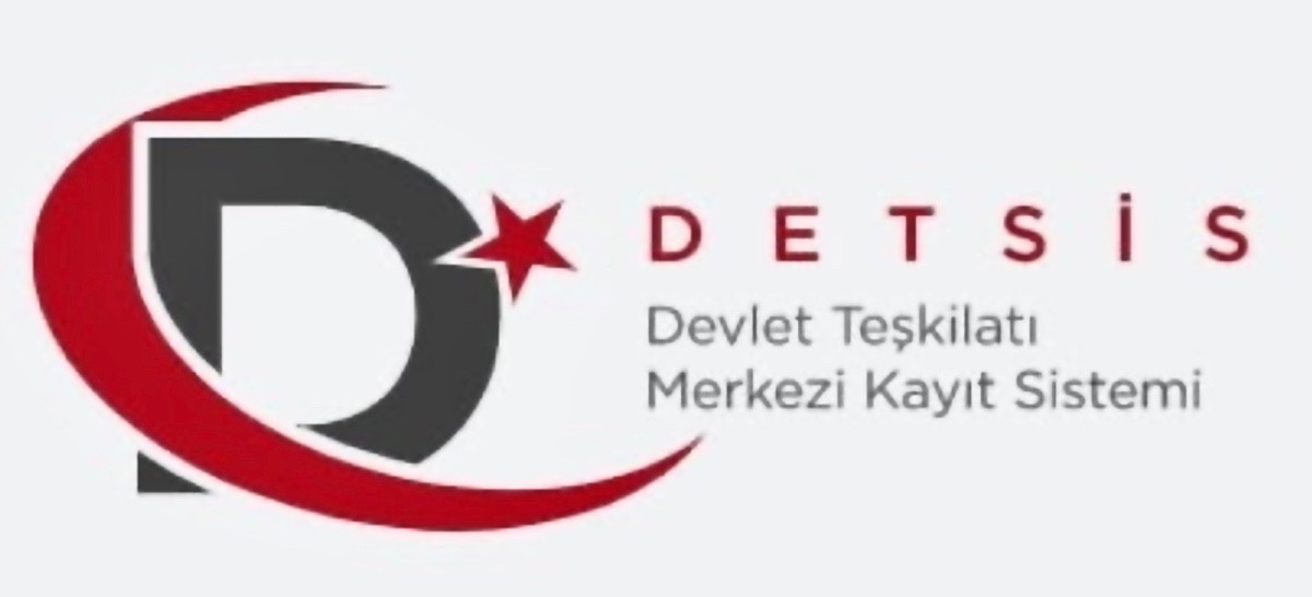 DETSİS