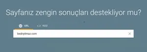 Google Zengin Sonuçlar Testi