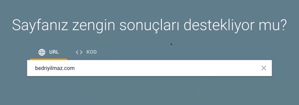 Google Zengin Sonuçlar Testi