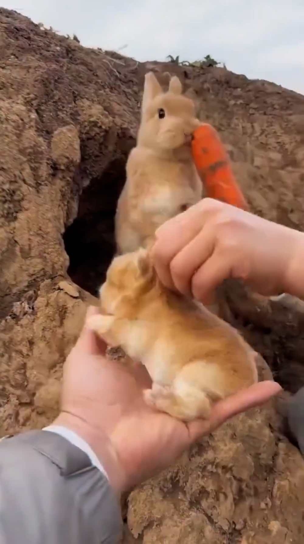 Ufak Bir Menfaat Verererek Gelecek Çalan Siyasetçi