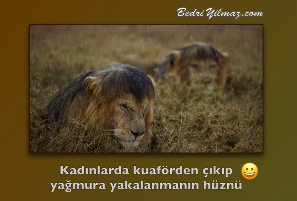 Hüzün