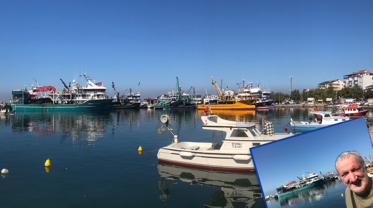 Yalova - Çınarcık - Esenköy - 14 Ekim 2023