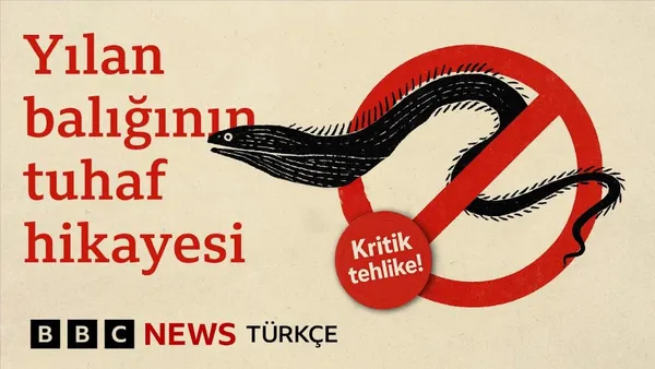 Yılan Balığı