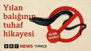 Yılan Balığı