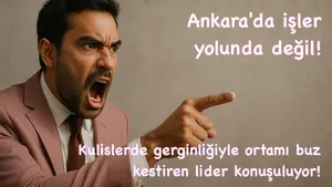 Gergin Siyaset