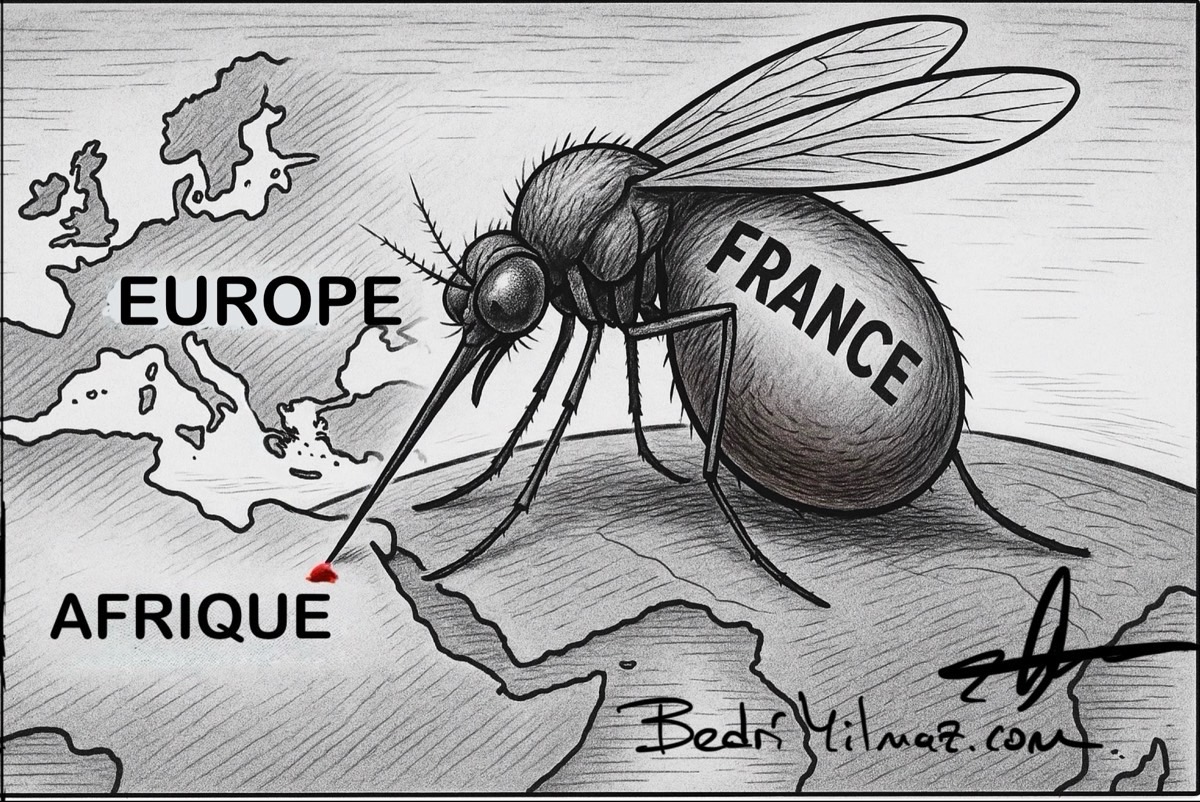 La France Qui Aspire Le Sang De L’Afrique