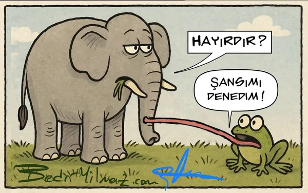 Şans