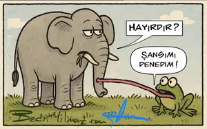 Şans
