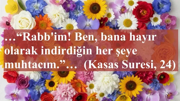 Kuran Ayeti: Kasas Suresi, 24
