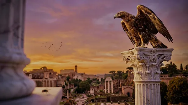 Aquila Non Capit Muscas