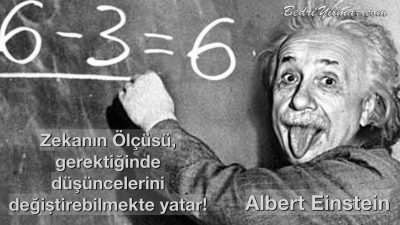 Zekanın Ölçüsü – Albert Einstein