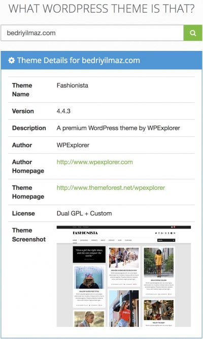 Bir Sitenin WordPress Temasını Tespit Etmek