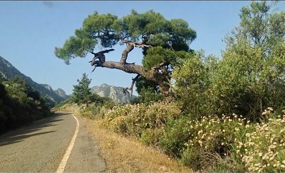 Antalya – Korkuteli – Güllük Dağı – Termessos – Fotoğraf Gezisi