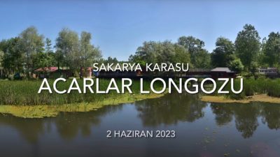 Sakarya – Karasu – Acarlar Longozu – (2 Haziran 2023) Fotoğraf Gezisi