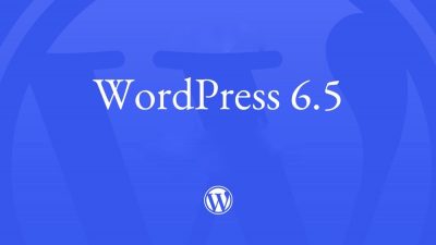 WordPress’un 6.5 Yayınlandı