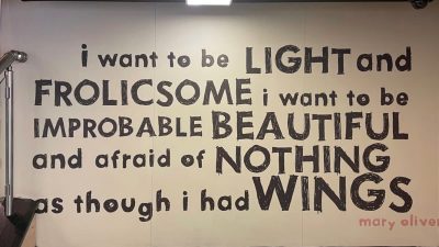 Hafif ve Şen – Mary Oliver