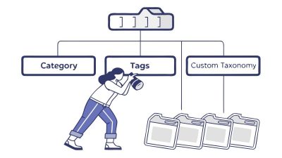 SEO Açısından Taksonomi Nedir?